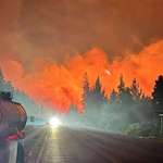 image for Fire in Argentine Patagonia. Totally devastating
