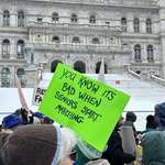 image for Capitol Protest: Albany,NY