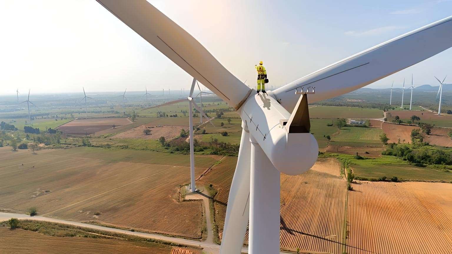 image for World First — 50m All-Timber Blade to Be Tested in Wind Turbine