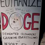 image for Poster from anti-Musk protest