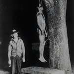 image for The lynching of Claude Neal, one of the sparks that started the Civil Rights movement in the US.