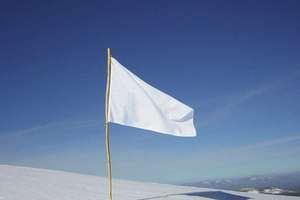 image for 