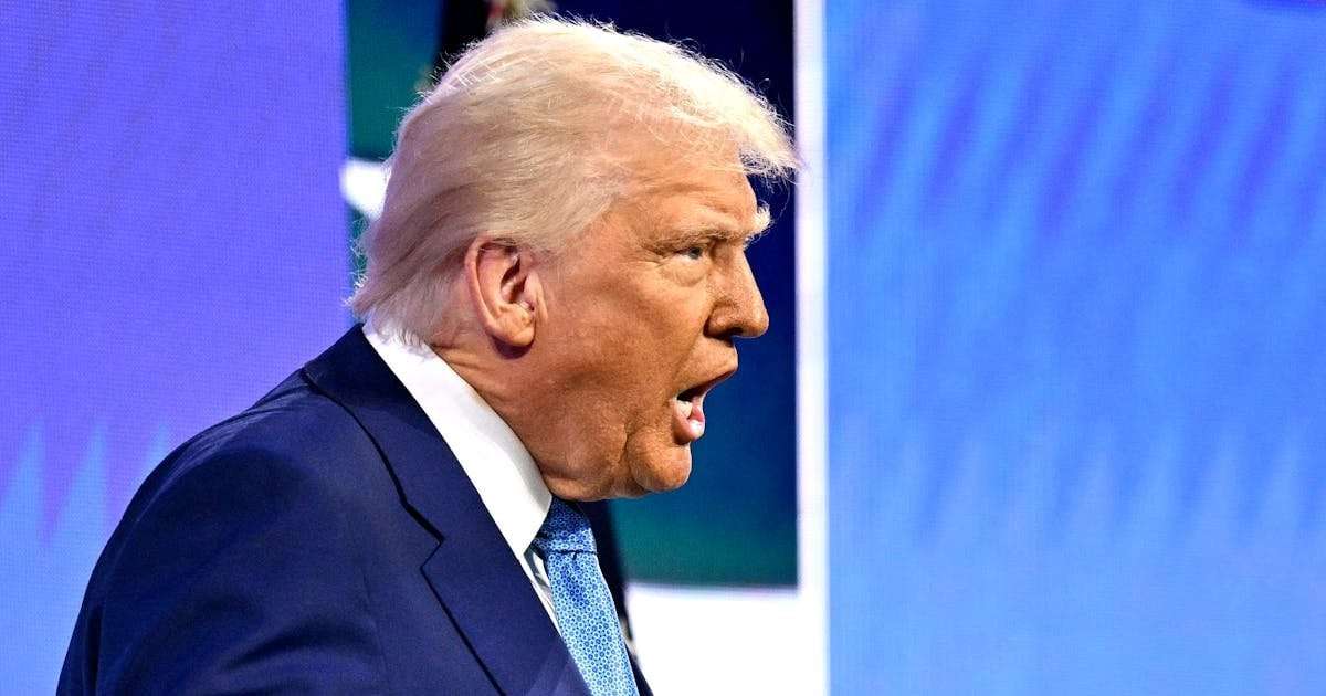 image for Trump Kicks Off Legal Chaos by Revealing Elon Musk Actually Runs DOGE