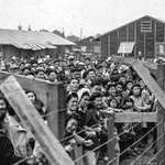 image for The last time Americans of a certain race were forced into camps by executive order