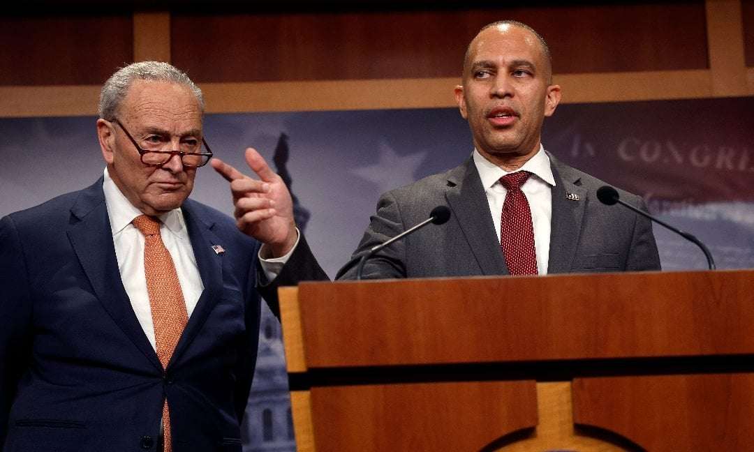 image for Democratic Party Leaders Are Asleep at the Wheel