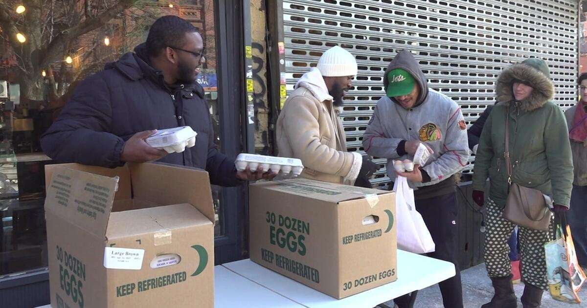 image for 200 cartons of eggs handed out for free in New York City as prices remain steep in stores