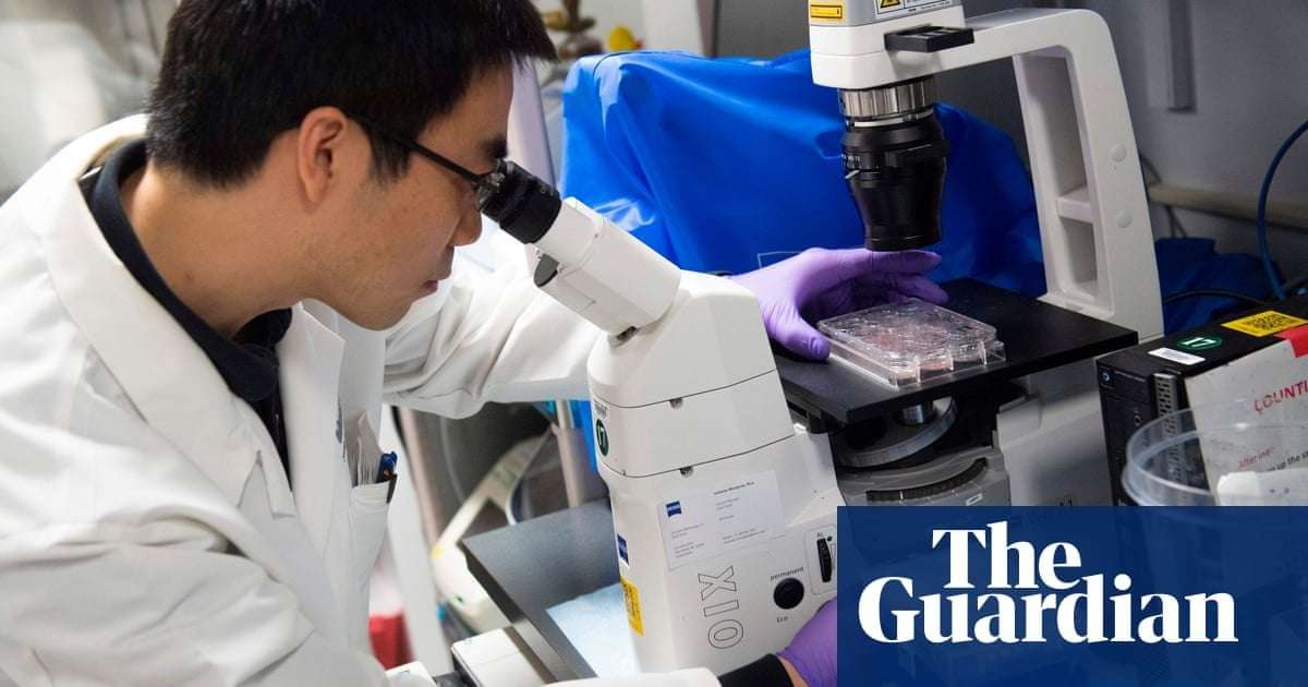 image for Trump halts medical research funding in apparent violation of judge’s order