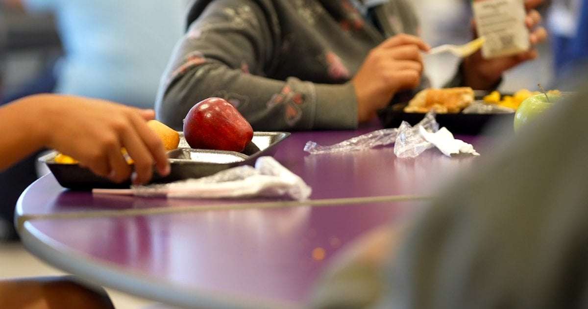 image for Ohio lawmakers propose making breakfast, lunch free at schools