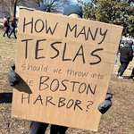 image for Boston citizens voice disgust of Musk’s power