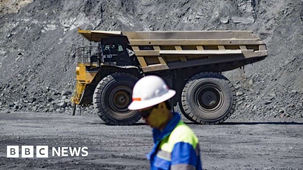 image for Putin offers Russian and Ukrainian rare minerals to US
