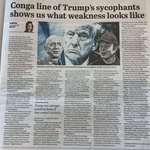 image for Conga line of Trump sycophants