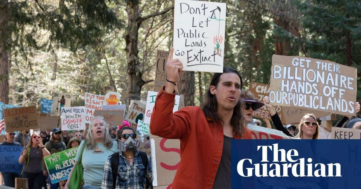 image for Trump orders swathes of US forests to be cut down for timber