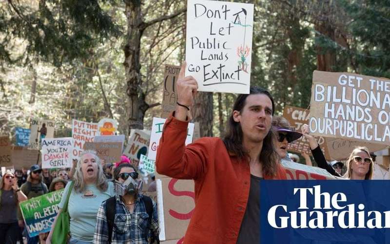 image for Trump orders swathes of US forests to be cut down for timber
