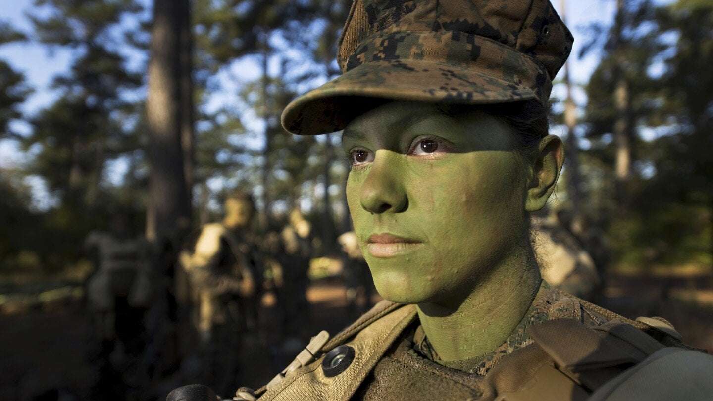 image for War heroes and military firsts are among 26,000 images flagged for removal in Pentagon’s DEI purge