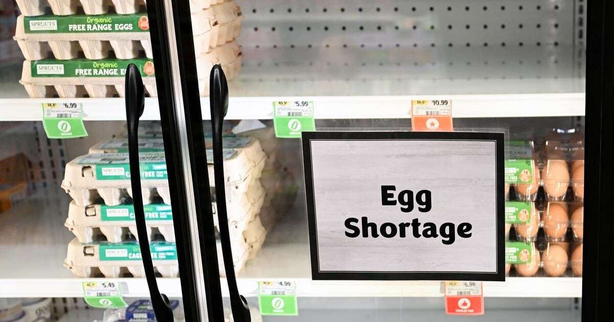 image for Trump Boosts Message Telling Americans to ‘Shut Up’ About Egg Prices