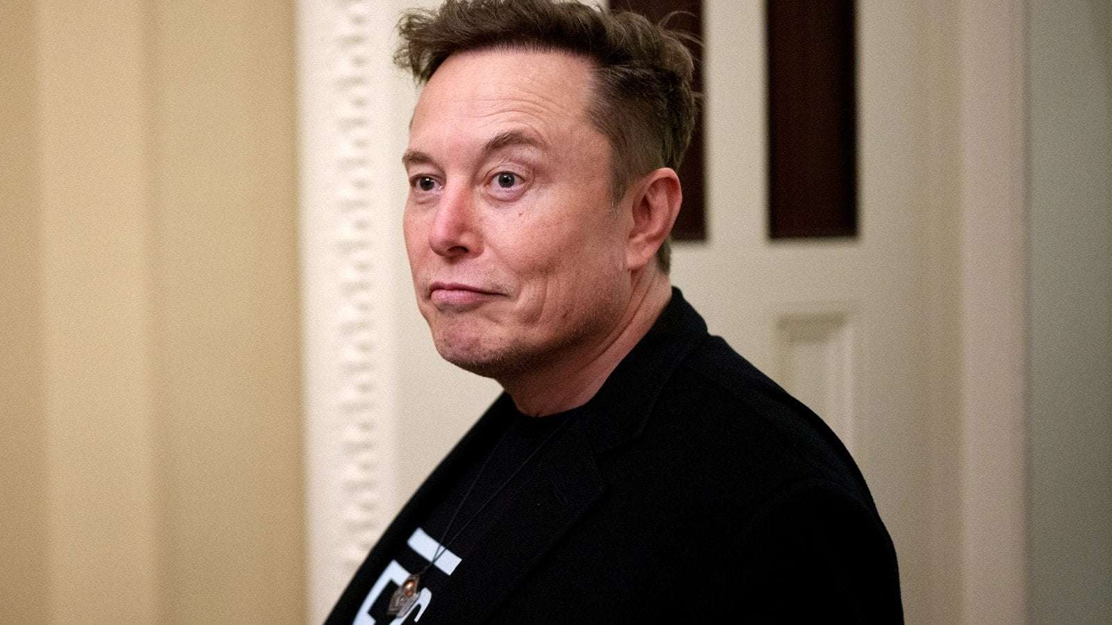 image for Musk Melts Down as Tesla Stock Price Plunges