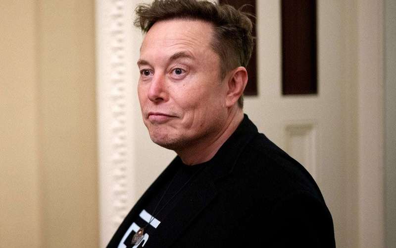 image for Musk Melts Down as Tesla Stock Price Plunges