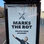 image for X Marks The Rot