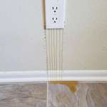 image for Honey leaking from an electrical outlet due to a beehive inside the wall