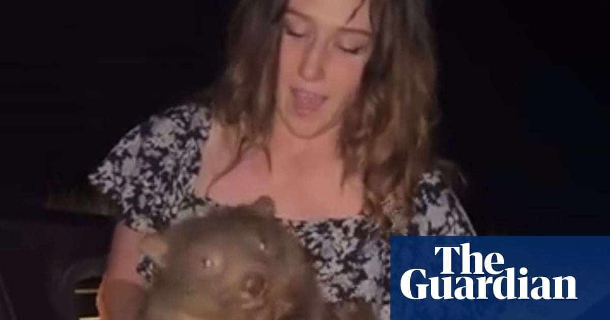 image for Baby wombat-snatching US influencer at risk of losing Australian visa
