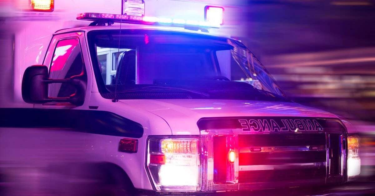 image for Dog accidentally shoots owner after getting paw stuck in trigger guard, Memphis police say