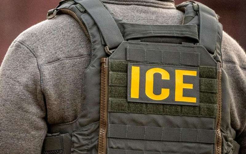 image for Trump admin deports 10-year-old U.S. citizen recovering from brain cancer to Mexico