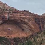 image for Zion standing up today