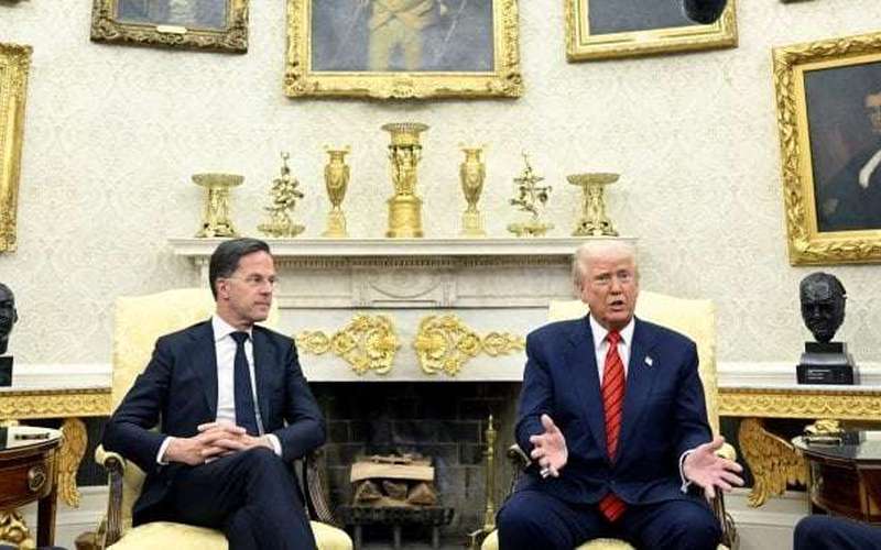 image for Trump threatens to acquire Canada, Greenland while next to NATO chief - National