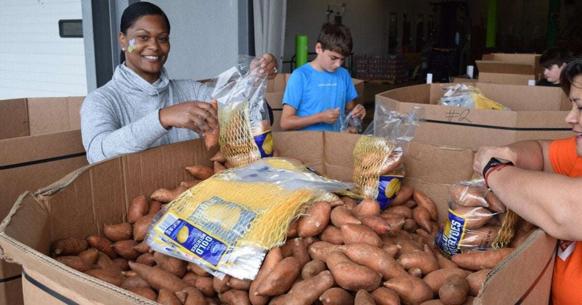 image for USDA cancels $11 million in federal funding for North Carolina food banks