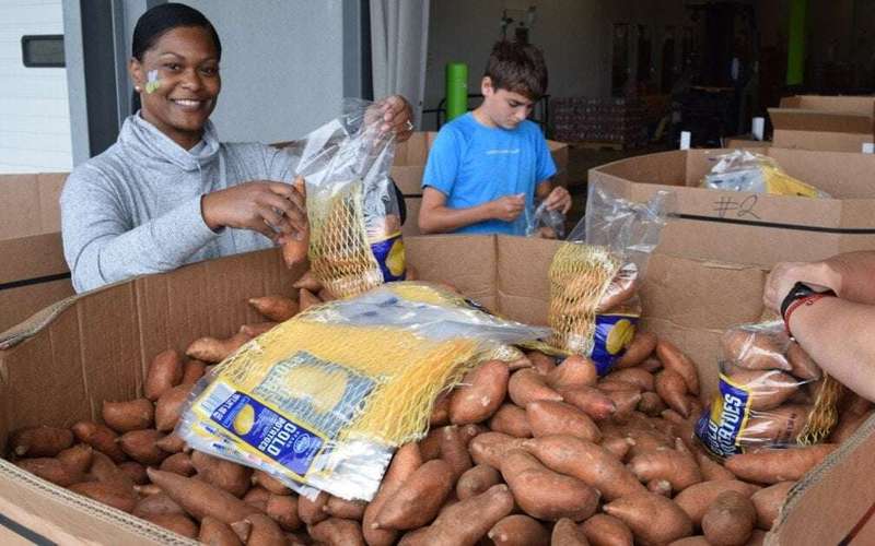 image for USDA cancels $11 million in federal funding for North Carolina food banks