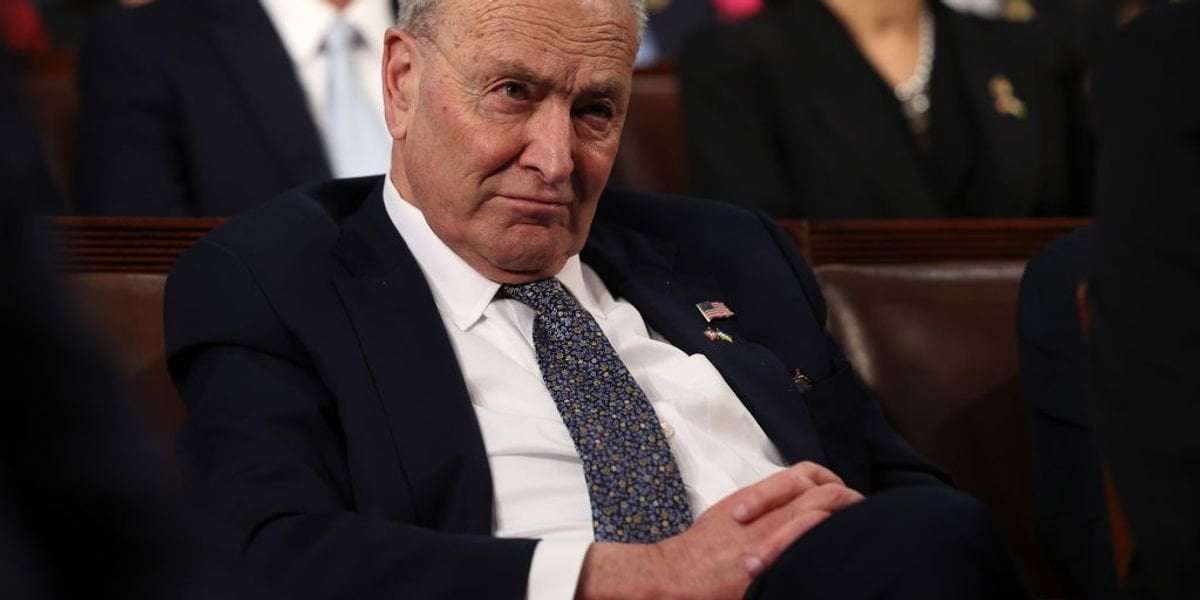image for 'People Will Not Forget': Fury as Schumer Caves to Trump-Musk Destruction