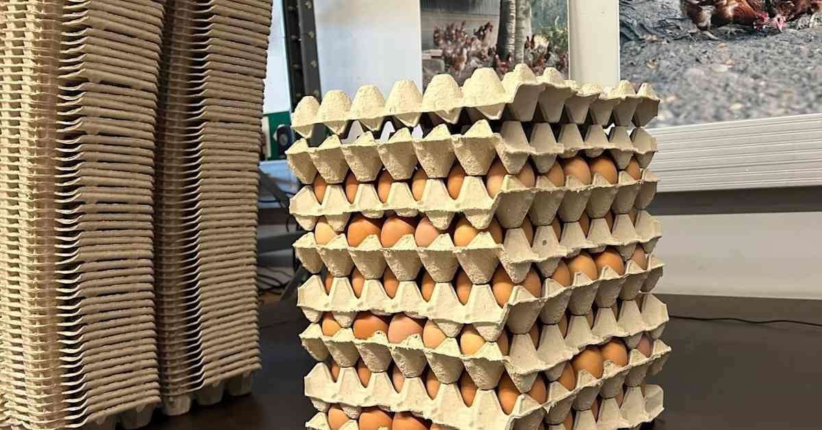 image for Finland turns down US request for eggs