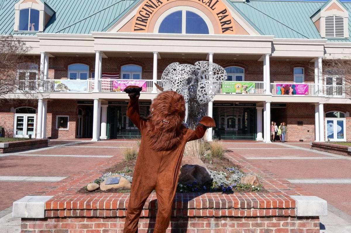 image for Virginia Zoo responds to gorilla escape rumors: 'we don't have those'
