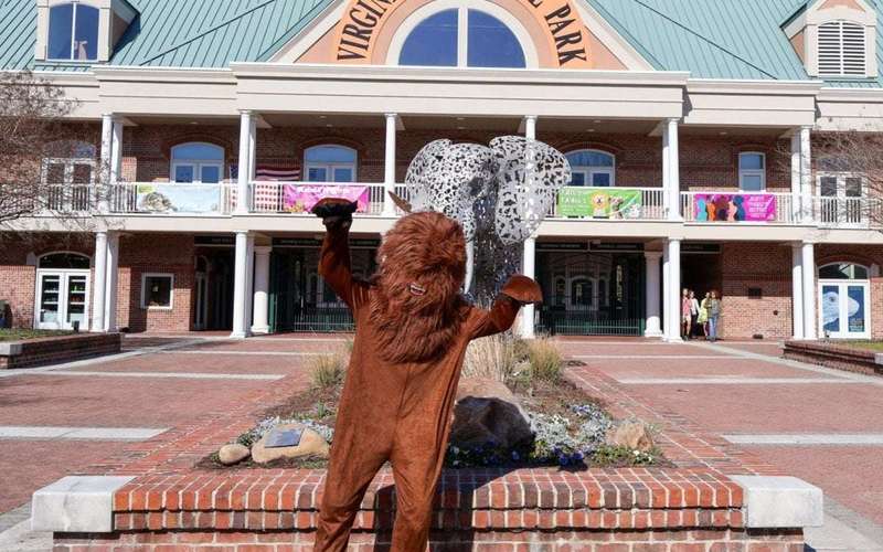 image for Virginia Zoo responds to gorilla escape rumors: 'we don't have those'