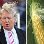 image for I cannot find any differences
