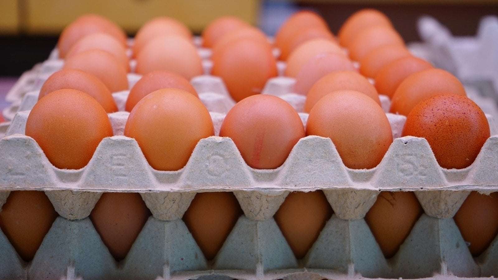image for USA asks Lithuania for eggs after Finland and Denmark, internet calls it ‘Door to door begging’