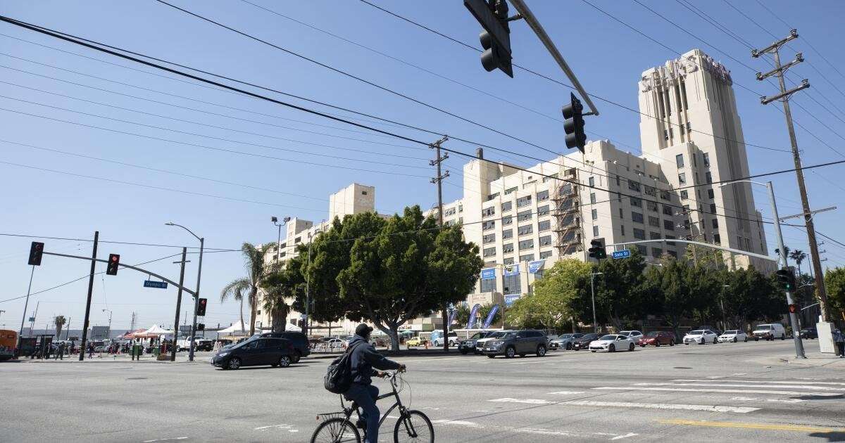 image for ‘L.A. trees are kicking ass.’ Urban plants capture more CO2 than expected, study finds