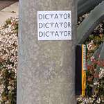 image for Dictator in San Diego OC