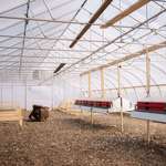 image for OC: There used to be 3,000 hens on Kakadoodle Farm in Illinois. After the bird flu, none are left.