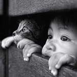 image for A toddler and a cat