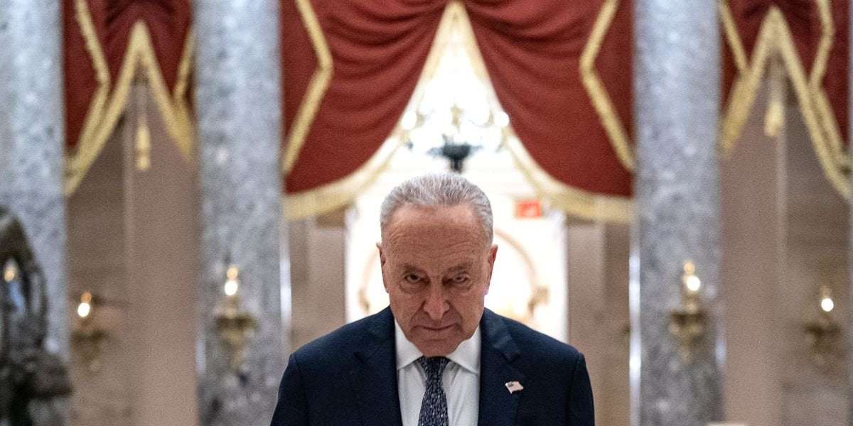 image for Chuck Schumer: The Man Who Let American Fascism Rise Without a Fight