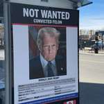 image for Calgary's Most Not Wanted