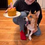 image for Our rescue’s reaction to getting his own cake for his first birthday [OC]