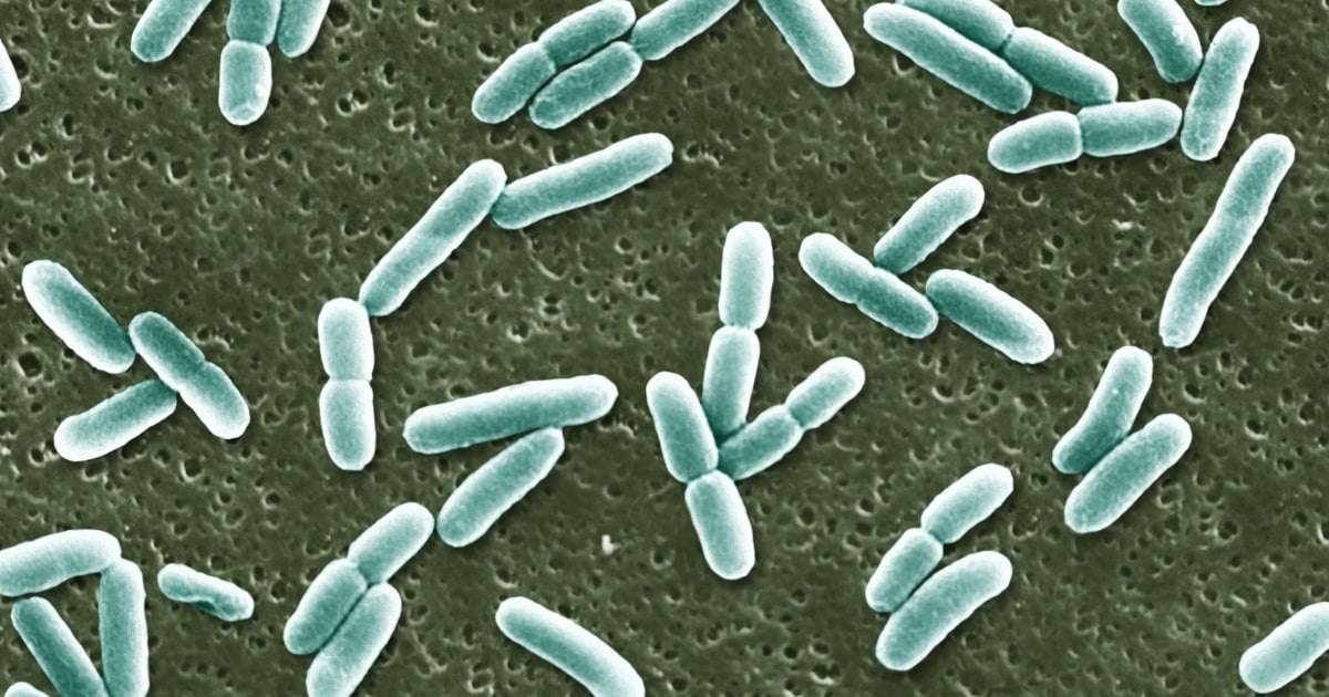 image for FDA approves first new antibiotic for UTIs in nearly 30 years