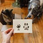 image for [oc] I tried a touchless ink pad on my cat and dog