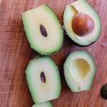 image for This is the smallest avocado seed I've ever come across!