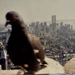 image for We visited Empire State Building in  NYC before everything got weird.