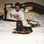 image for Freddie Mercury eating soup in bed with his cats, 1987