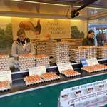 image for The Americans are asleep, quick post pictures of our abundance of eggs!