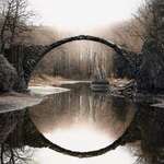 image for Ring